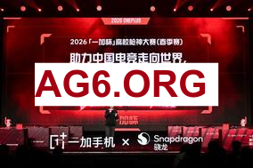Rogue迎战G2 Esports